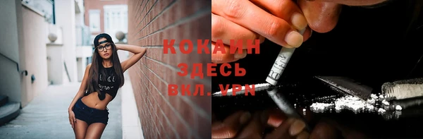 ПСИЛОЦИБИНОВЫЕ ГРИБЫ Надым