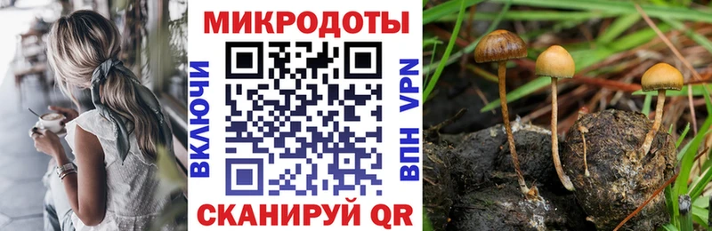 Галлюциногенные грибы Psilocybe  Купить  Пенза 
